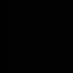 Meet your Posher, !eonardo